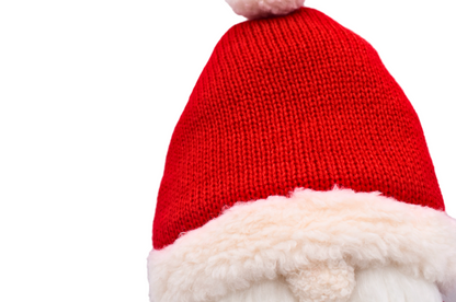 Cozy Teddy Jolly Round Santa Pillow